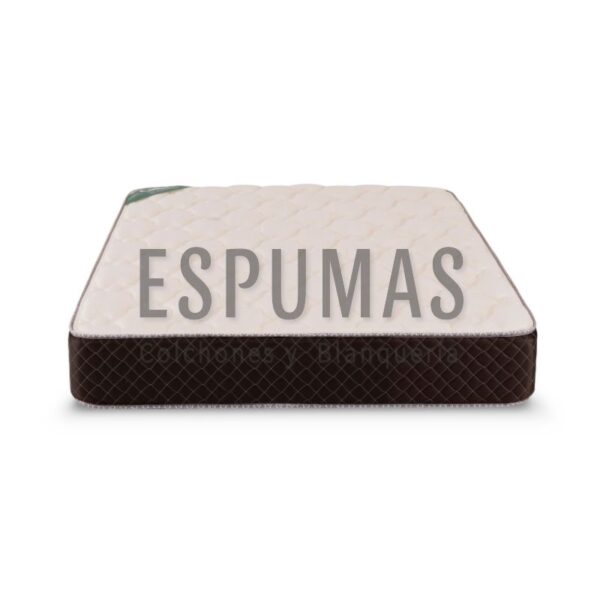 ESPUMAS SOMMIERSEXCLUSIVEX25.2P.F4 - Sábanas, cortinas y colchones para renovar tu espacio. Espumas San Luis