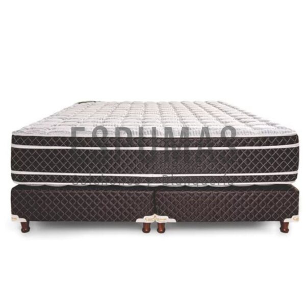 Conjunto Sommiers Cannon Renovacion c/Pillow Super Queen